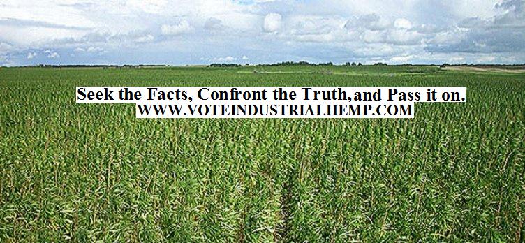 Canadian Hemp Seed… is Changing the Way We Live, One Seed at a Time!